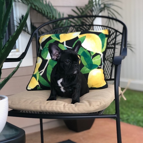 Meet your Posher, Melissa - Picture 1 of 1